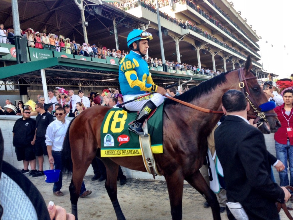 UPDATED: ‘Pharoah’ Breeding Rights Sold, will stand at&nbsp;Ashford