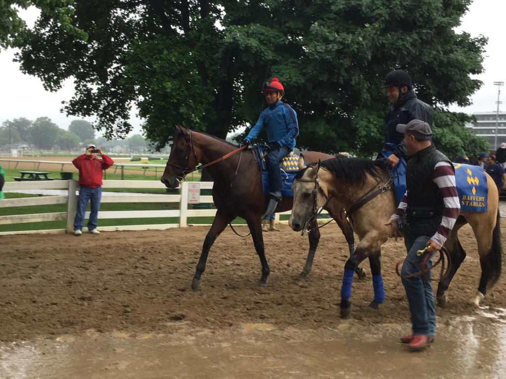 American Pharoah logs final pre-Belmont&nbsp;workout