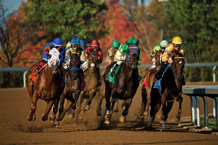Keeneland's 2015 Fall Meet begins Oct. 2 (Keeneland photo)