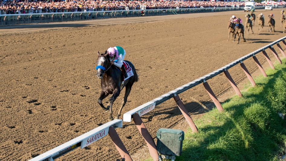 Arrogate Smashes Track Record in Travers